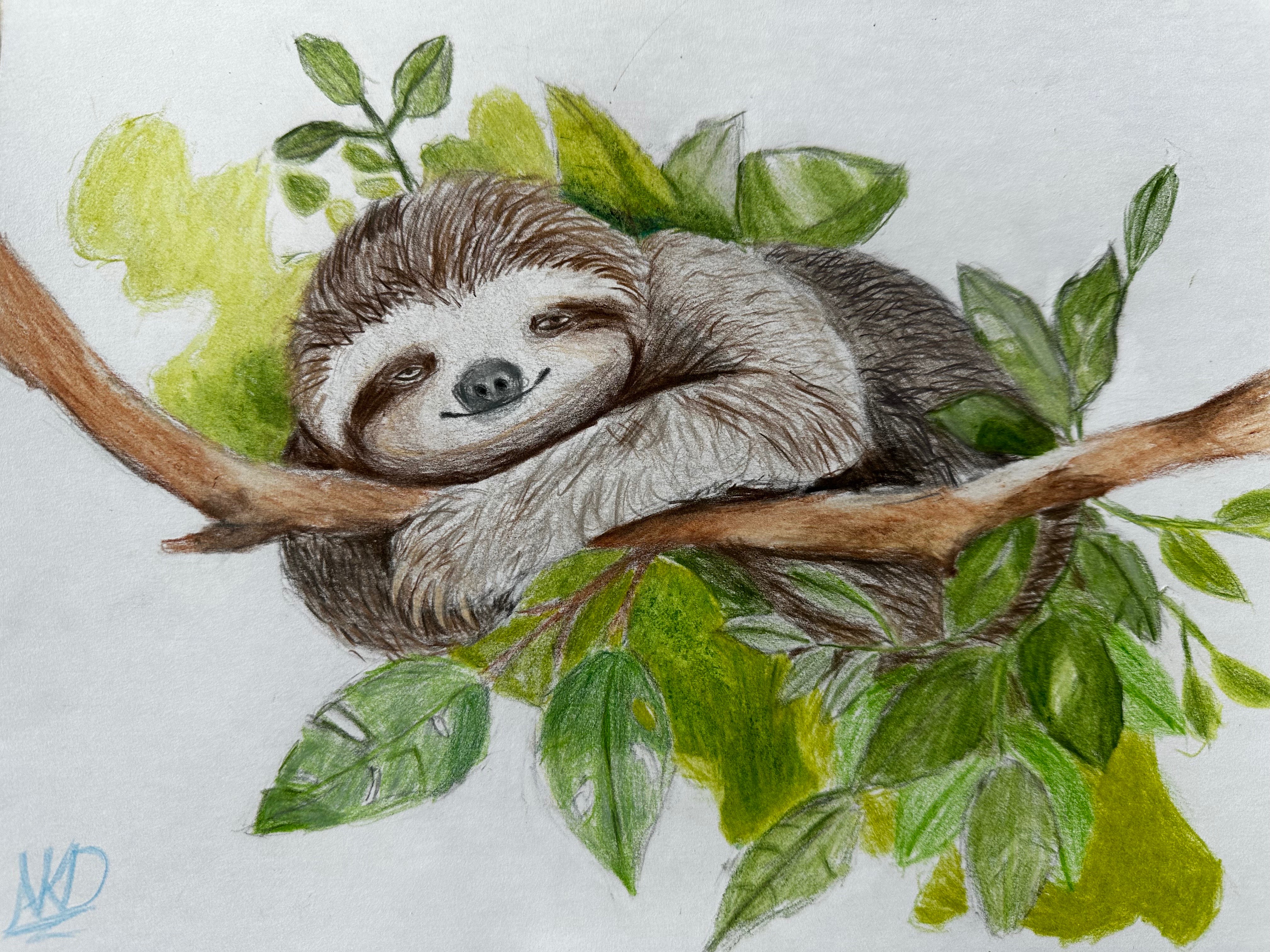 Sloth